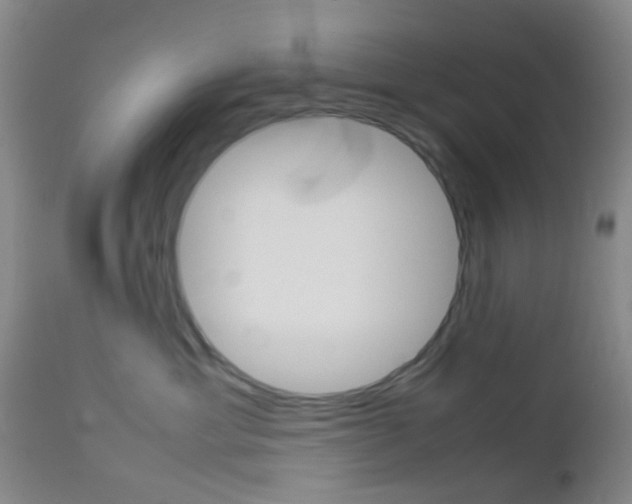 X0000112850429200908211035