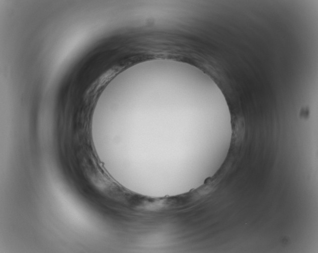 X0000112850430200908211035