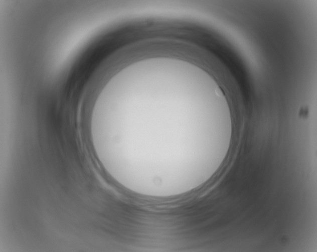 X0000112850431200908211035