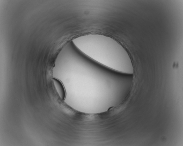 X0000112850432200908211035