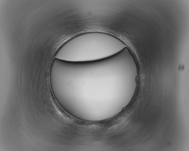 X0000112850433200908211034