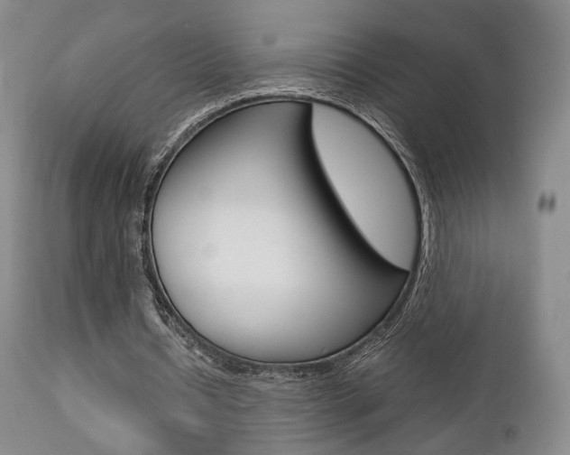 X0000112850434200908211034