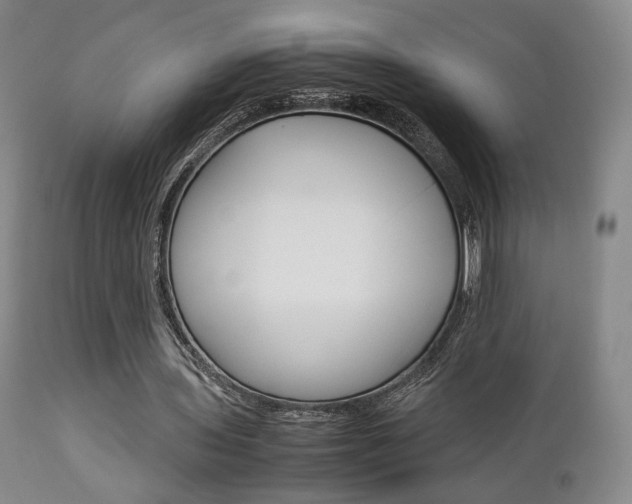 X0000112850435200908211034