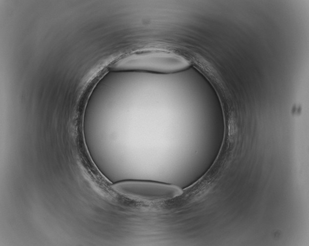 X0000112850436200908211034