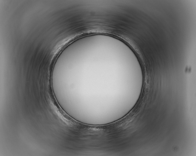 X0000112850437200908211034