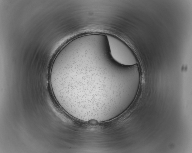 X0000112850438200908211034