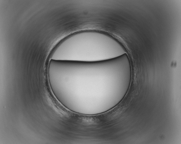 X0000112850439200908211034