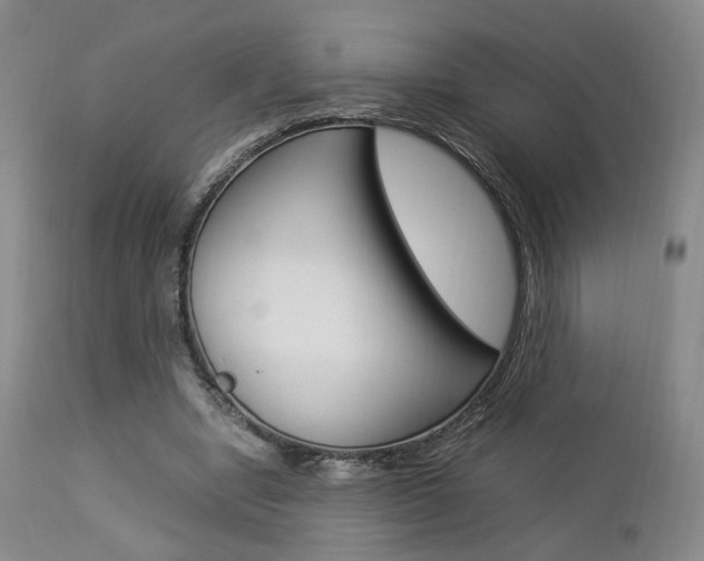 X0000112850442200908211034