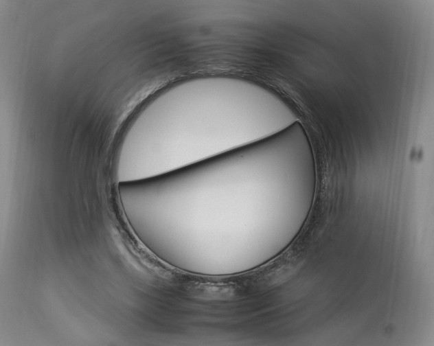 X0000112850443200908211034