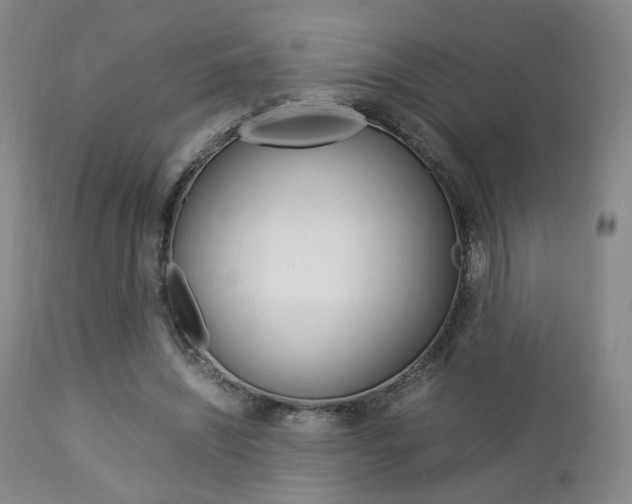 X0000112850444200908211034
