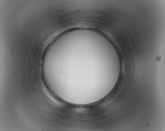 X0000112850445200908211034