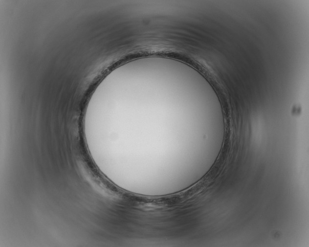 X0000112850447200908211034
