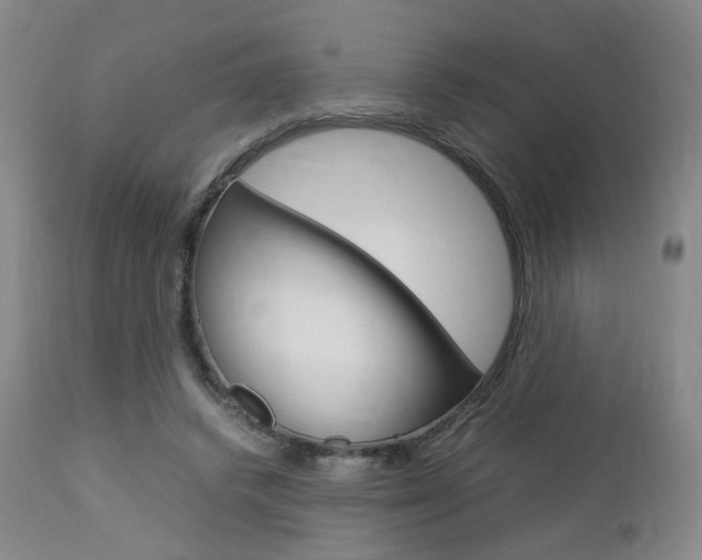 X0000112850448200908211034