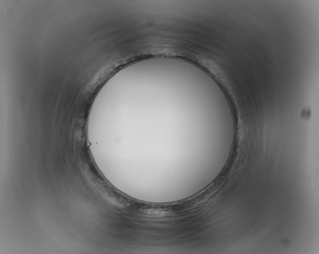 X0000112850449200908211034