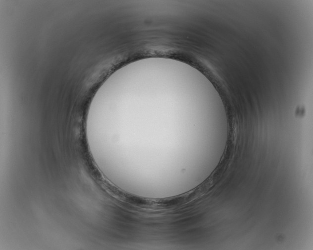 X0000112850451200908211034