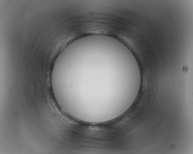 X0000112850453200908211034