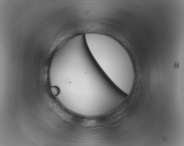 X0000112850454200908211034