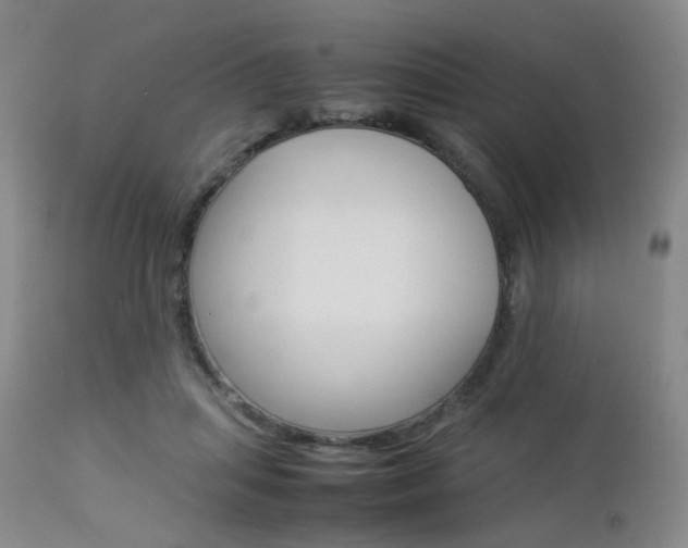 X0000112850455200908211034