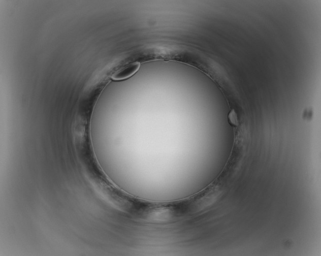 X0000112850456200908211034