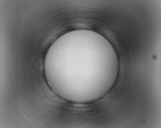 X0000112850457200908211034