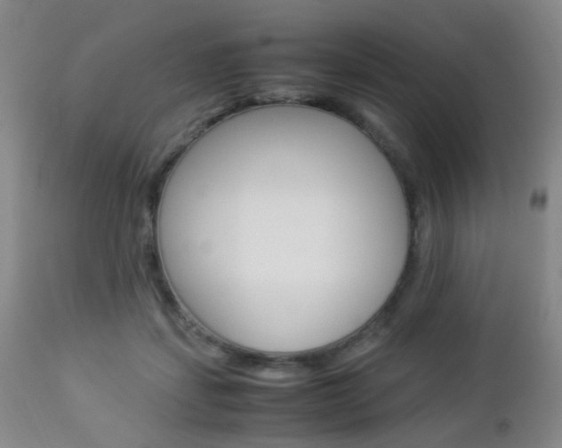 X0000112850459200908211034