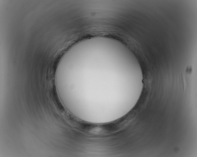 X0000112850460200908211034