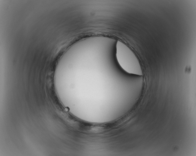 X0000112850462200908211034