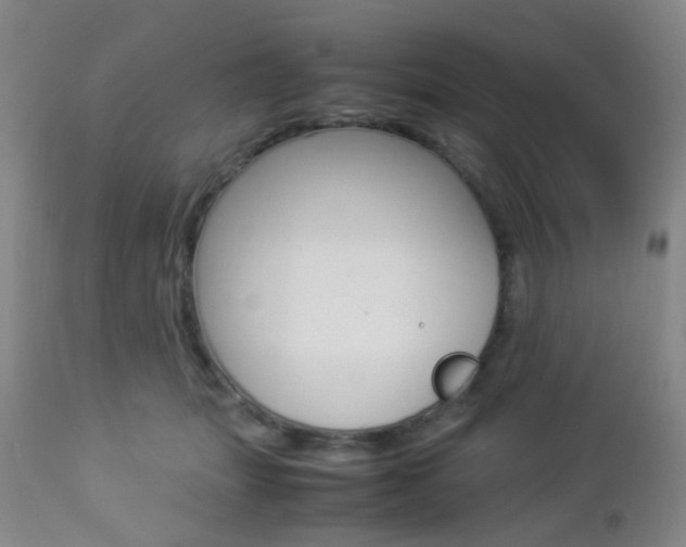 X0000112850463200908211034