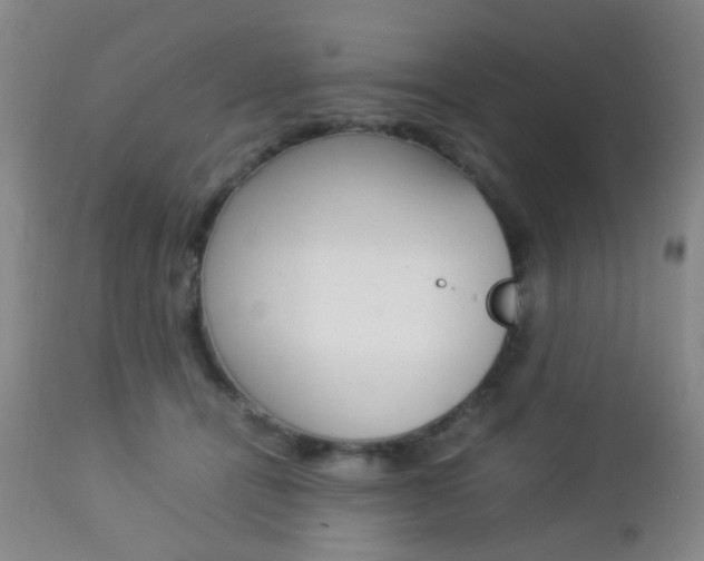 X0000112850464200908211034