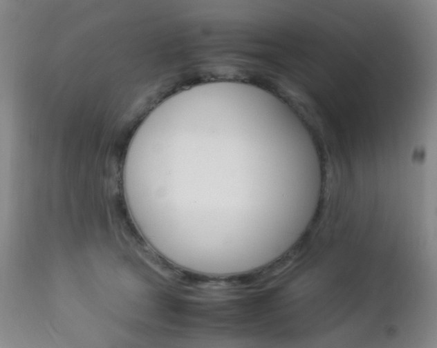 X0000112850465200908211034