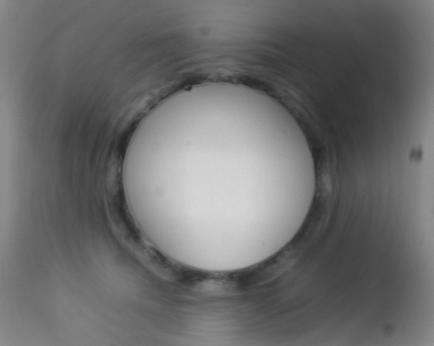 X0000112850468200908211035