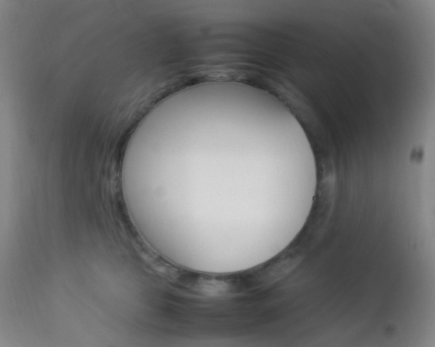 X0000112850469200908211035