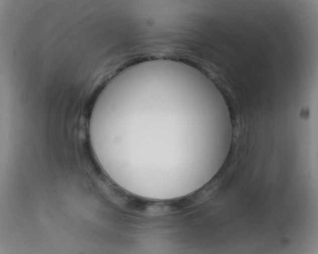 X0000112850470200908211035