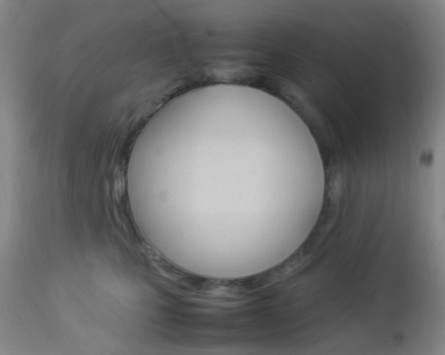 X0000112850471200908211035