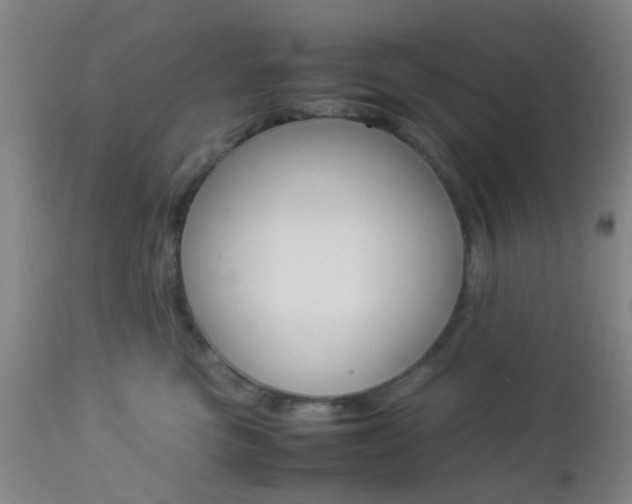 X0000112850473200908211035