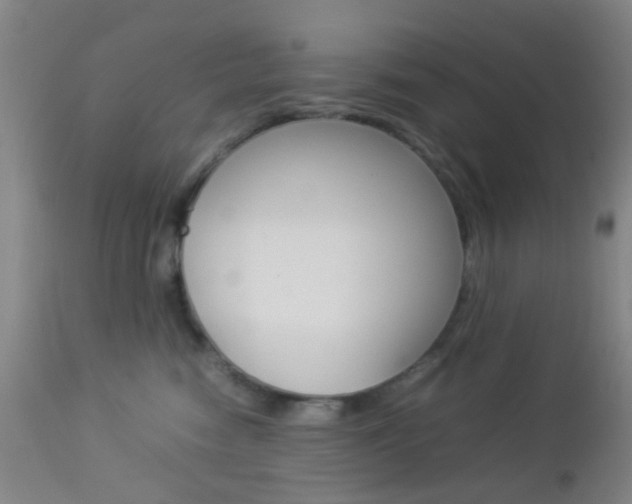 X0000112850474200908211035