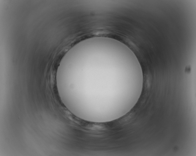 X0000112850475200908211035