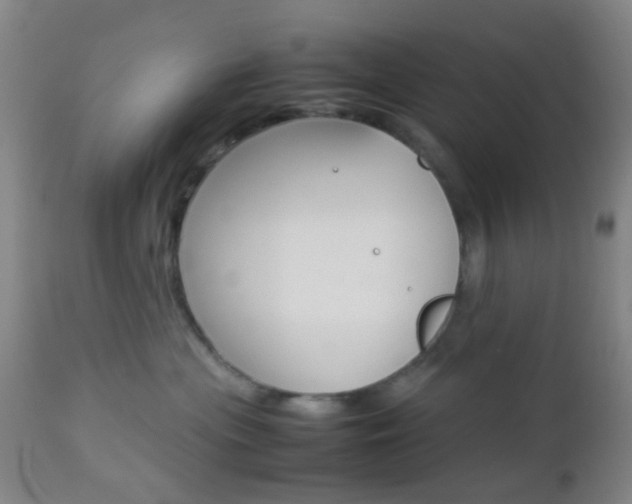 X0000112850477200908211035