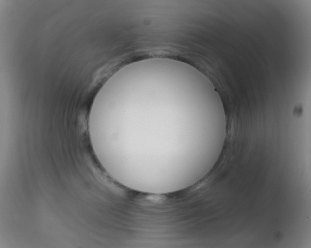 X0000112850478200908211035