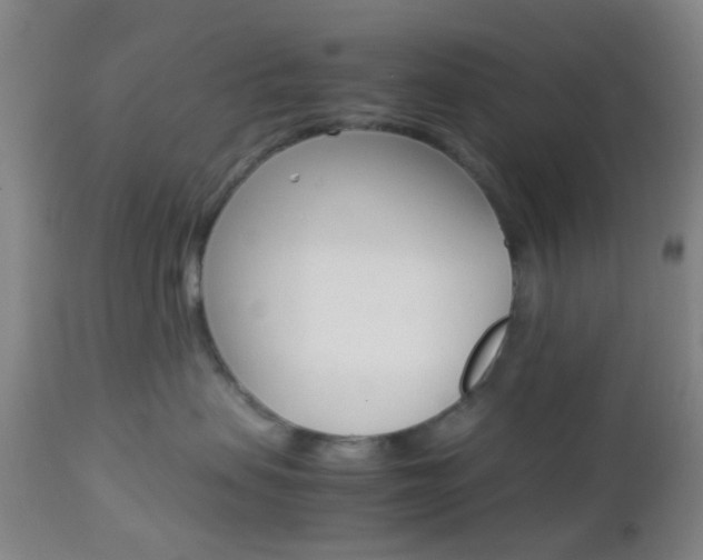 X0000112850479200908211035