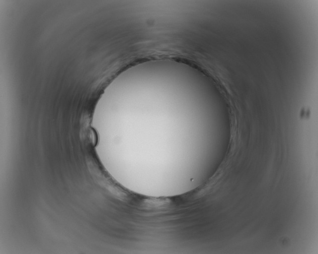 X0000112850480200908211035