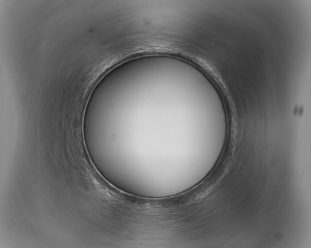 X0000112850481200908211034