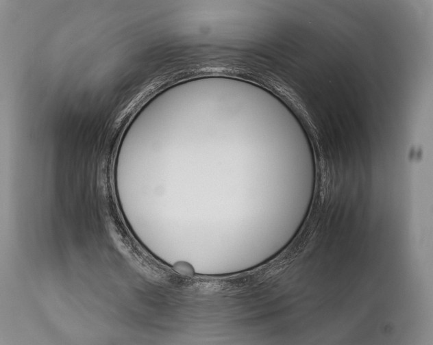 X0000112850482200908211034