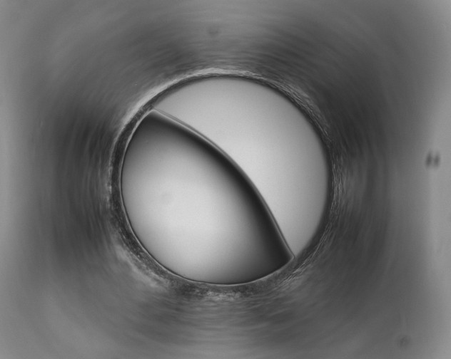X0000112850484200908211034