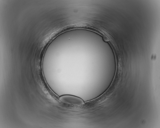 X0000112850485200908211034