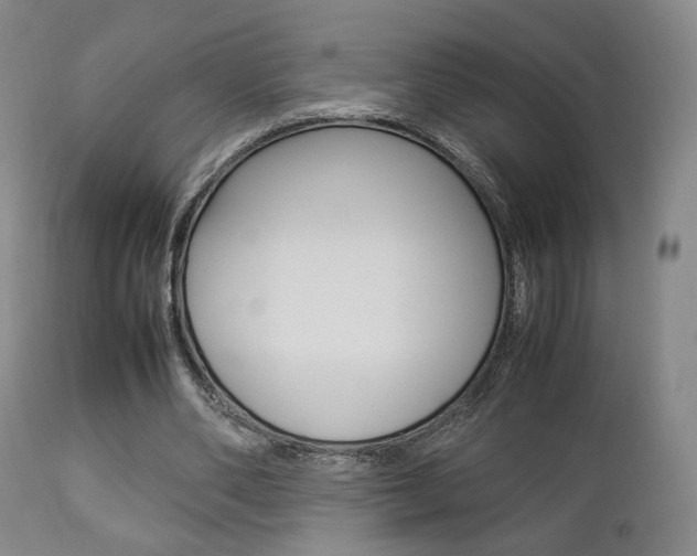 X0000112850486200908211034