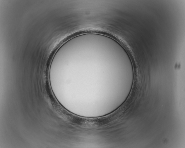 X0000112850487200908211034