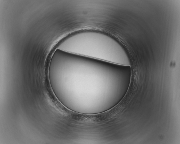 X0000112850488200908211034
