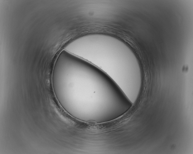 X0000112850489200908211034