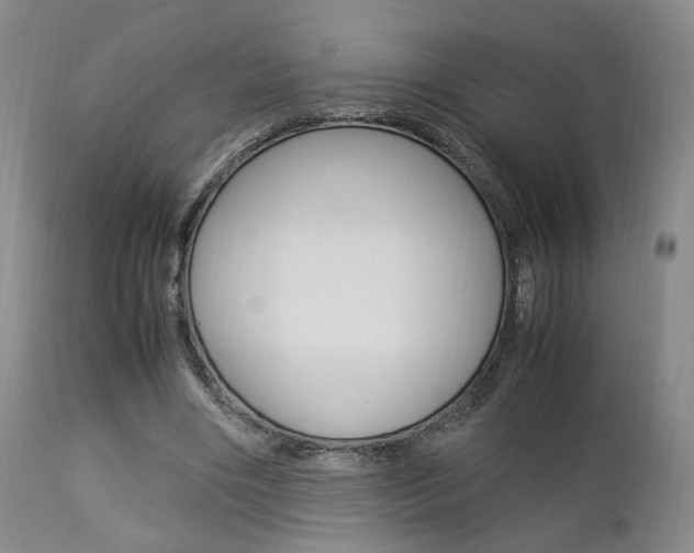 X0000112850490200908211034